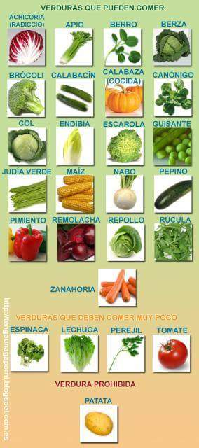 Verduras que pueden comer los Loros